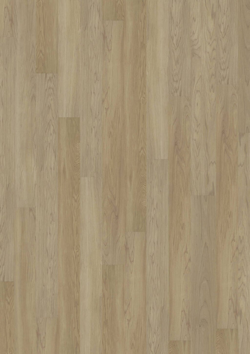 JOKA Designboden 340 Creamy Maple 2819 - Klebevinyl Vinylboden JOKA