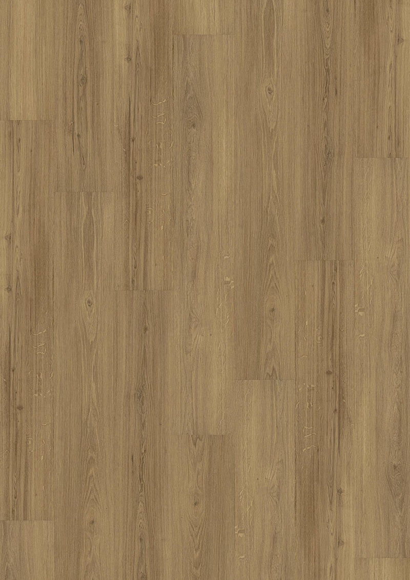 JOKA Designboden 734 Sinero Incredible Classic Oak 505 - Klickvariante Vinylboden JOKA