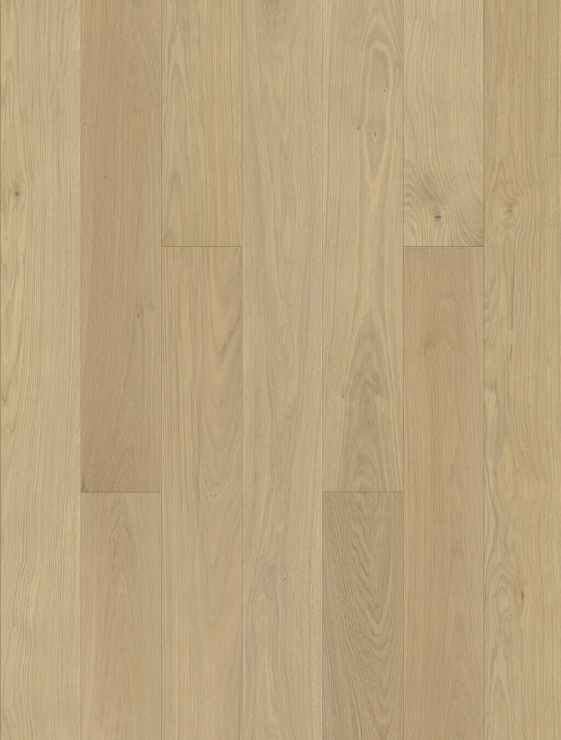 JOKA Classic Parkett 435 LD Calgary Eiche Creme gebürstet Elegance NaturaÖl E0214 - geölt Parkett JOKA