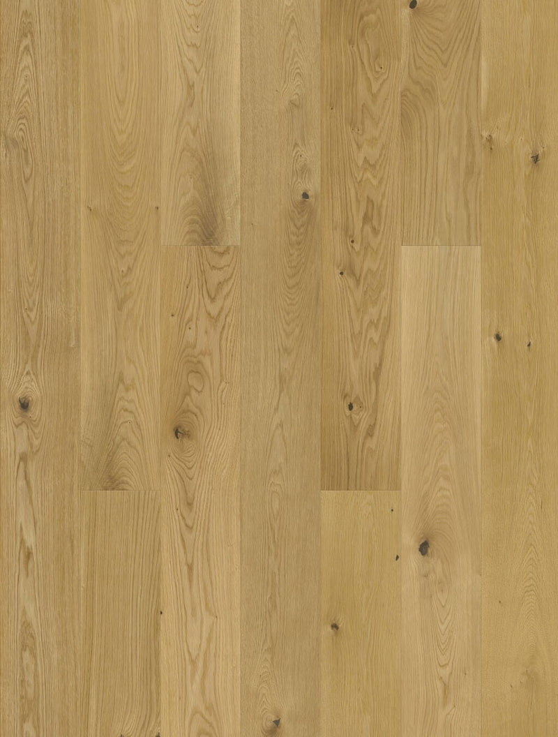 JOKA Classic Parkett 435 LD Calgary Eiche gebürstet Nature VelvetPro E2203 - lackiert Parkett JOKA