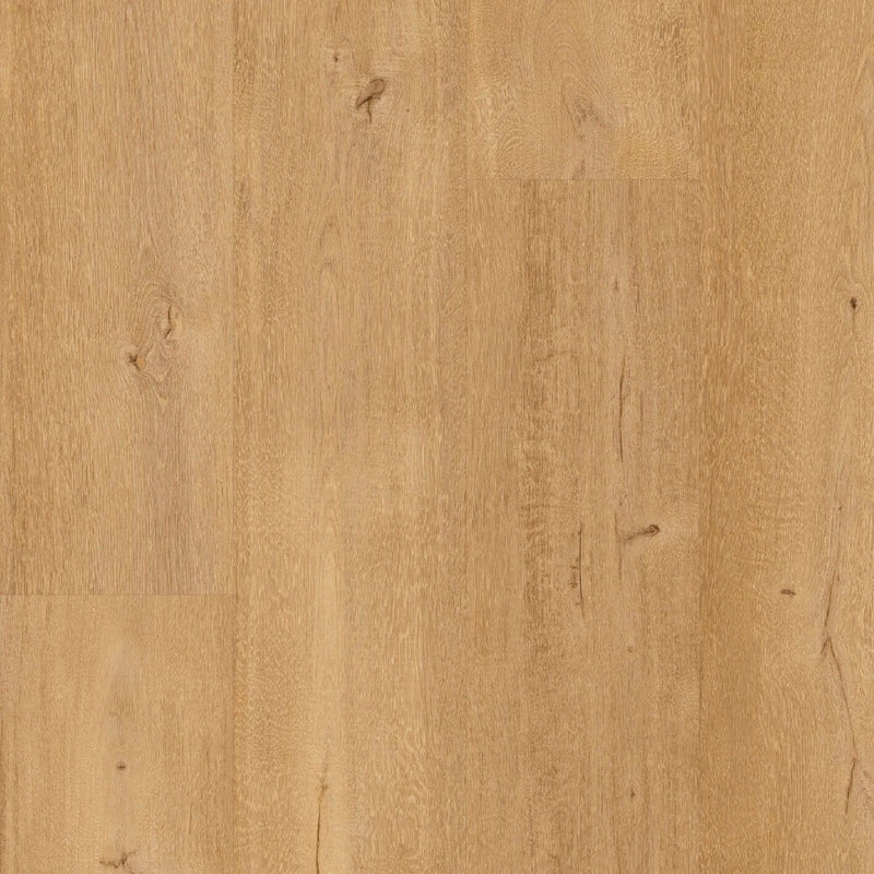 Floorify Frangipane F095 - Rigidvinyl Klickplanke Vinylboden Floorify