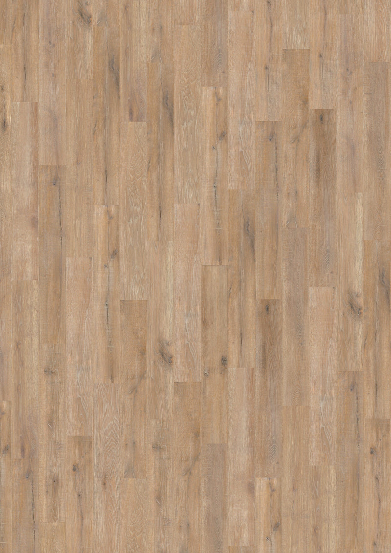 Wicanders wood natural Farnia Oak Savannah 80003574 Korkboden WICANDERS 