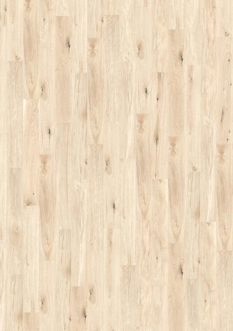 Wicanders wood natural Panama Oak Light Sand 80003589 Korkboden WICANDERS 