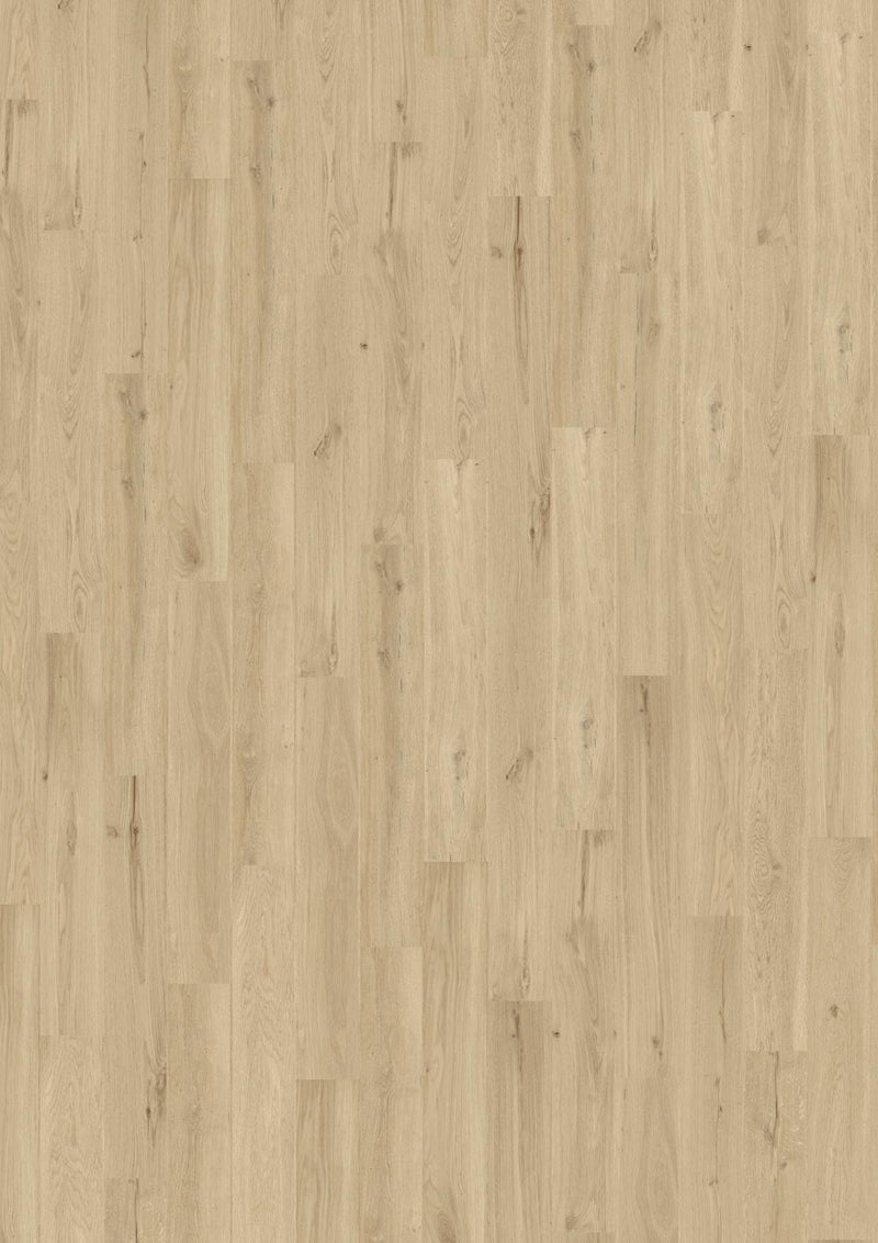 Wicanders wood natural Dakota Oak Sand 80003594 Korkboden WICANDERS 