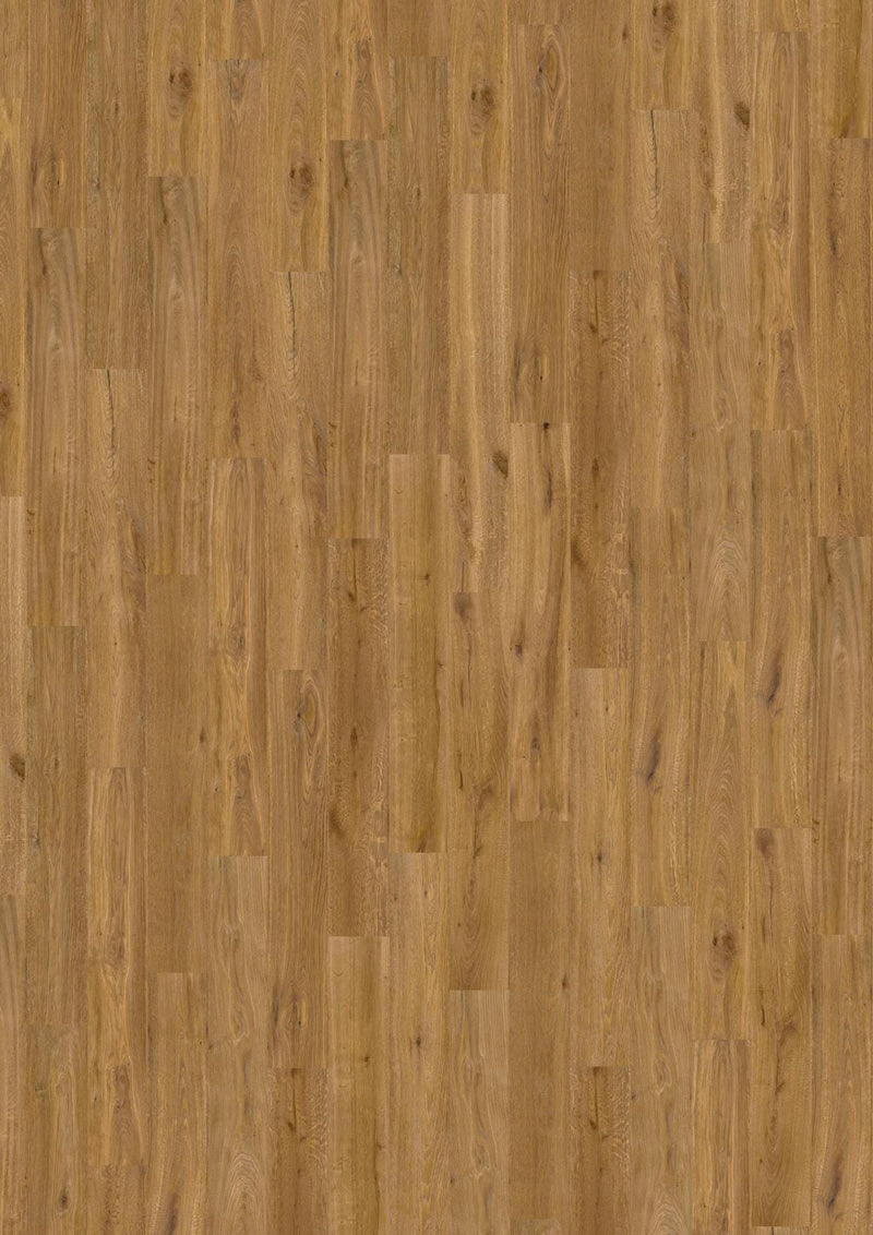 Wicanders wood natural Antique Oak Honey 80003620 Korkboden WICANDERS 