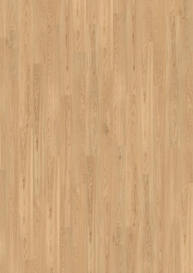 Wicanders wood natural XL Pure Oak 80003638 Korkboden WICANDERS 