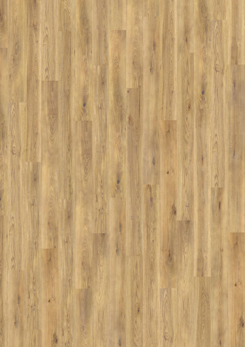 Wicanders wood natural XL Ariana Oak 80003644 Korkboden WICANDERS 