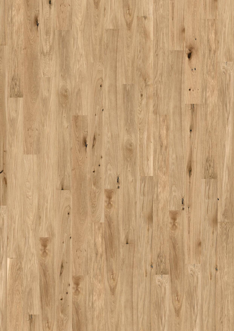 Wicanders wood natural XL Panama Oak 80003656 Korkboden WICANDERS 