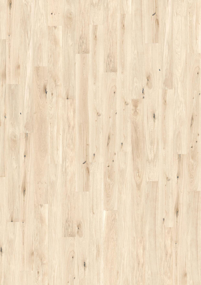 Wicanders wood natural XL Panama Oak Light Sand 80003657 Korkboden WICANDERS 