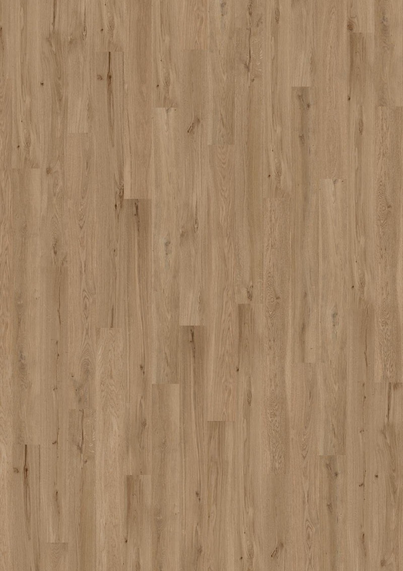 Wicanders wood natural XL Dakota Oak 80003661 Korkboden WICANDERS 