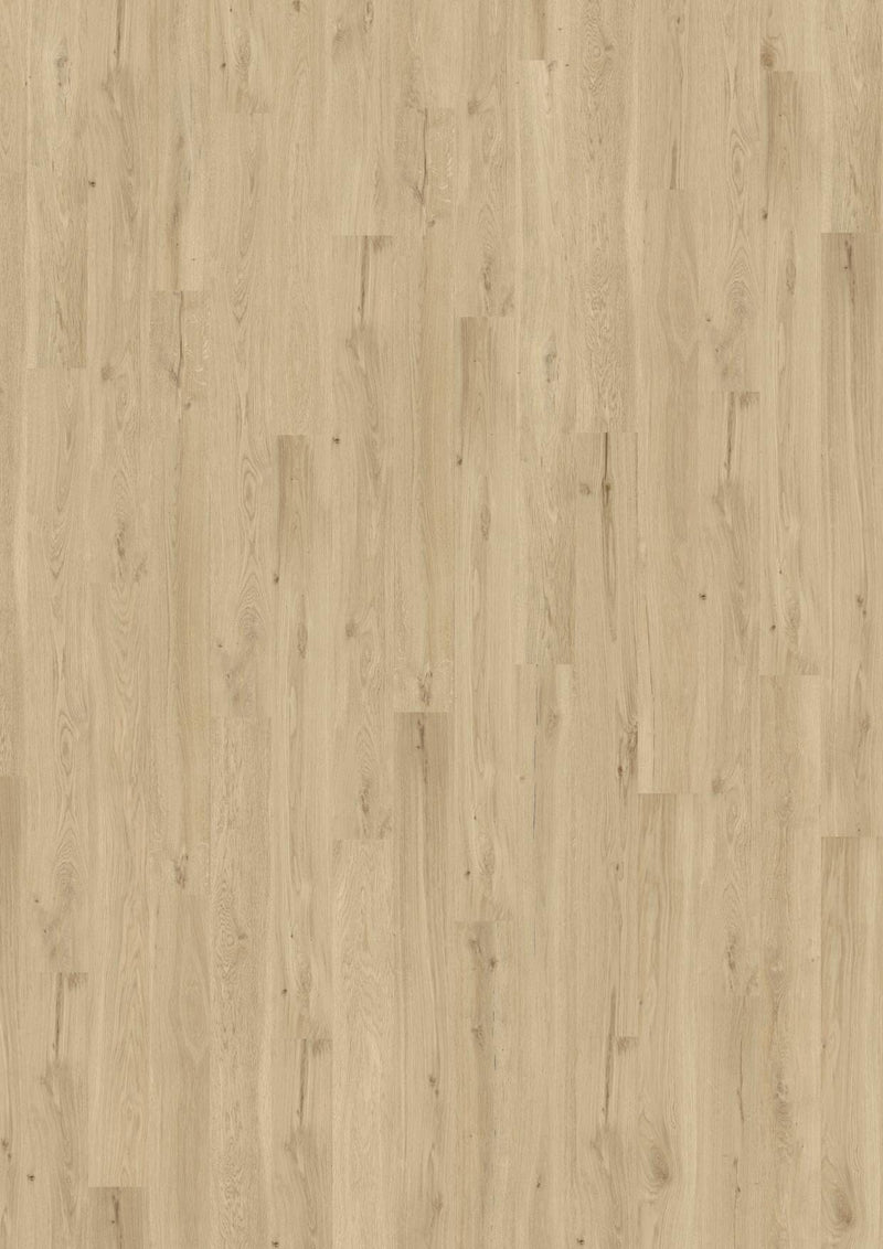 Wicanders wood natural XL Dakota Oak Sand 80003662 Korkboden WICANDERS 