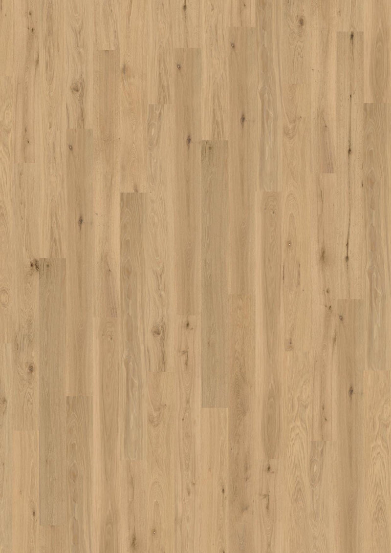 Wicanders wood natural XL Natural Oak Almond 80003666 Korkboden WICANDERS 