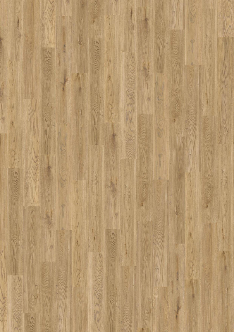 Wicanders wood natural XL Essential Oak 80003674 Korkboden WICANDERS 