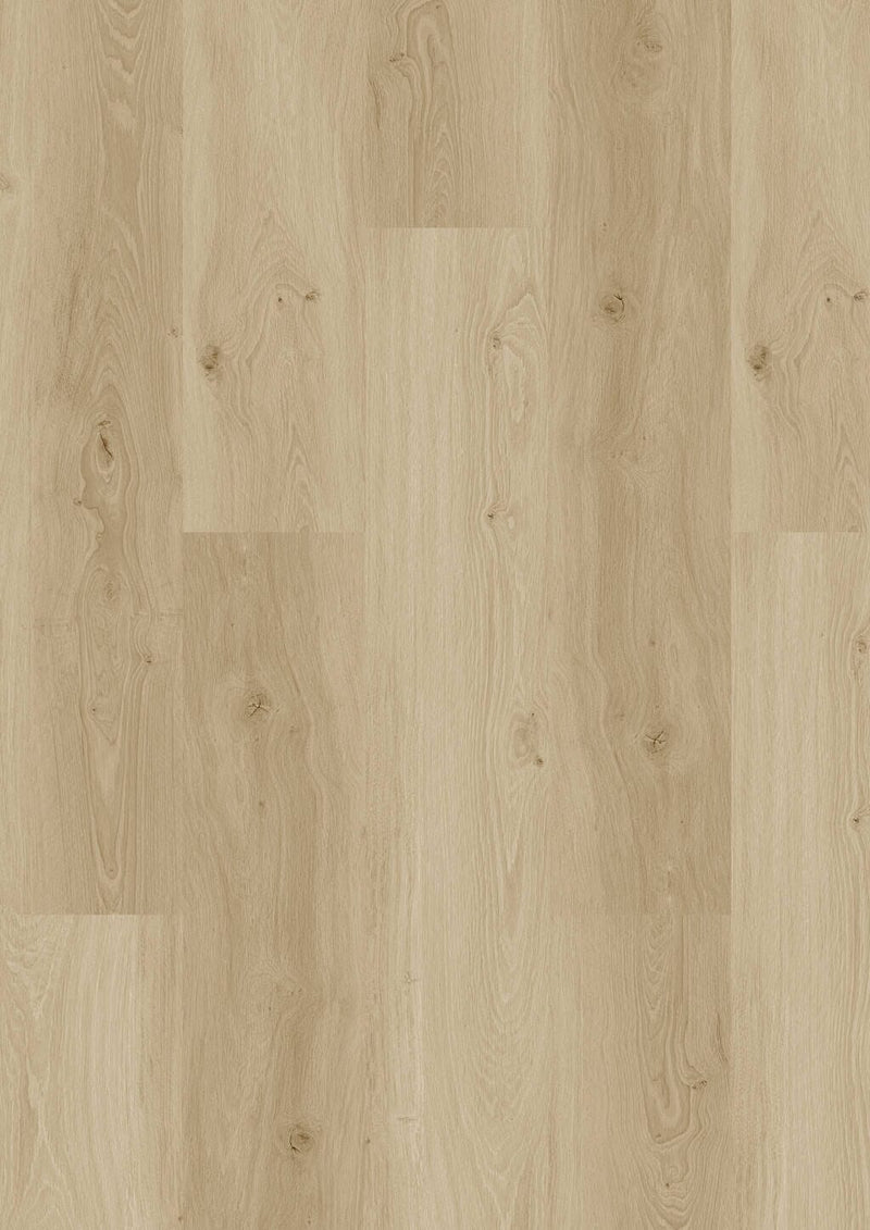 JOKA Designboden 555 Wooden Styles Oak blond 5704 - Klebevinyl Vinylboden JOKA 