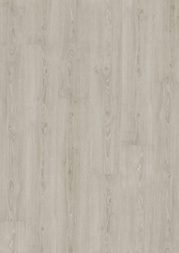 JOKA Designboden 555 Perfect Grey Oak 470P - Klickvinyl Vinylboden JOKA 