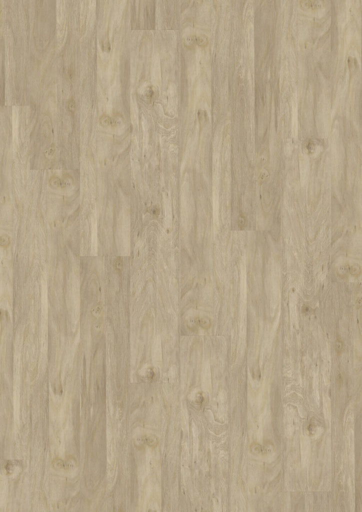 JOKA Designboden 555 Bleached Elm 413P - Klickvinyl Vinylboden JOKA 