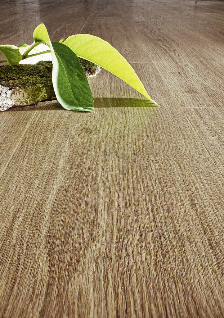 JOKA Designboden 734 Sinero Incredible Classic Oak 505 - Klickvariante Vinylboden JOKA 