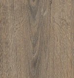 IPC Saphir Plus SPC Click Eiche austergrau - Klickvinyl Vinylboden IPC 