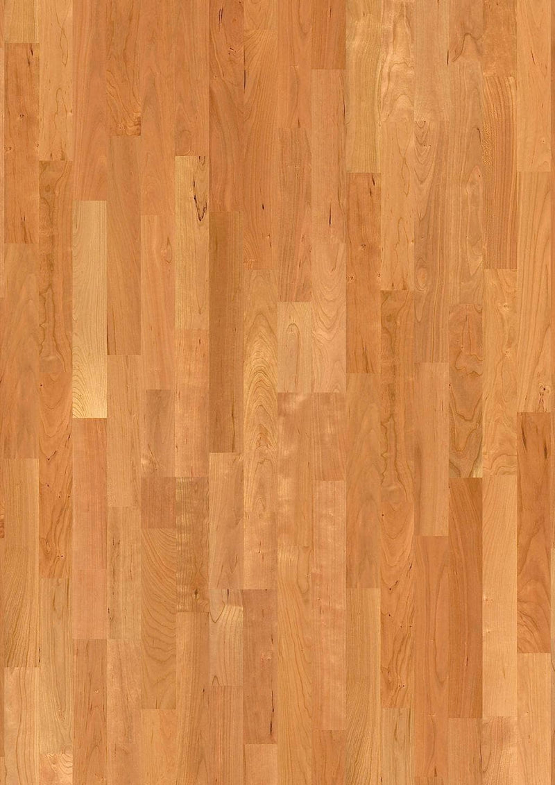 JOKA Classic Parkett 535 SB Kingston Kirsche amerikanisch Elegance Parkett JOKA 