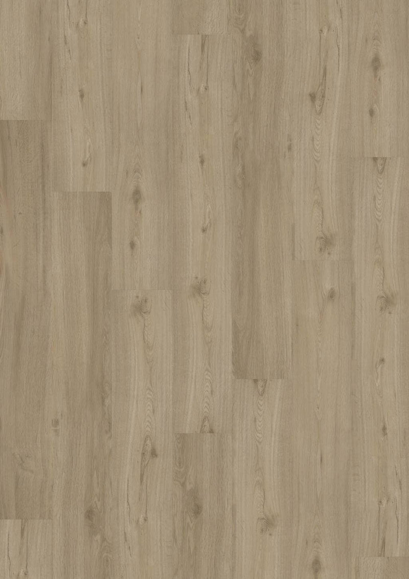JOKA Designboden 555 Spring Oak - Klebevinyl Vinylboden JOKA 